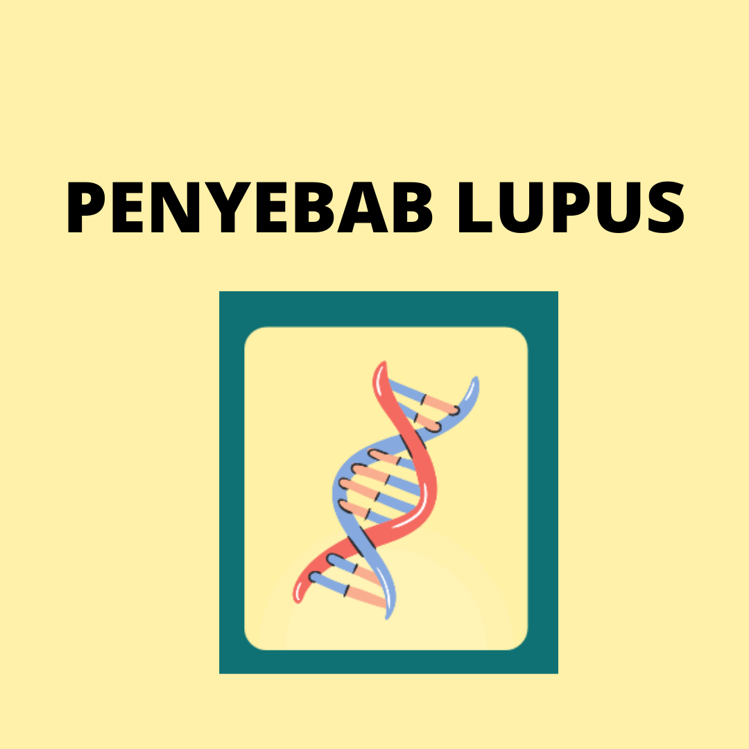 Penyebab Penyakit Lupus Dokter Rematik Autoimun